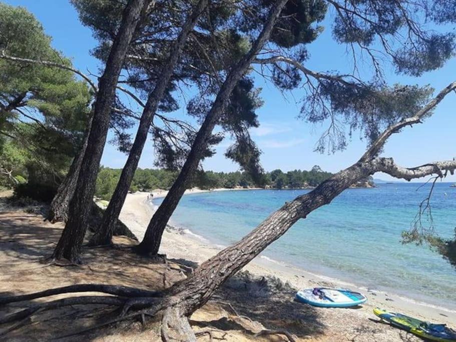 Studio Cabine Climatise 800 M De La Plage Et Des Commerces Bormes-les-Mimosas Buitenkant foto